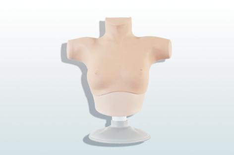乳腺癌觸診、視診訓(xùn)練模型